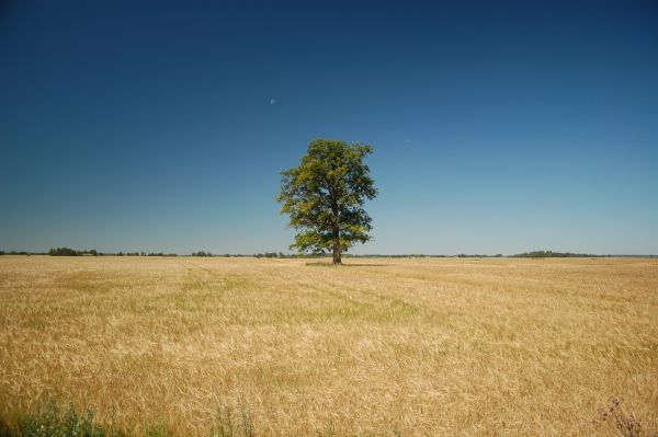 Litwa, Łotwa 3